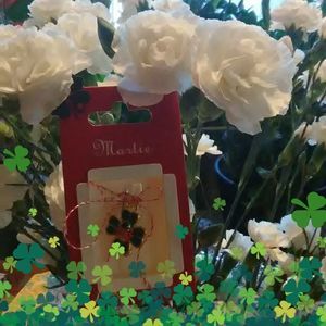 Meet your Posher, Olimpia